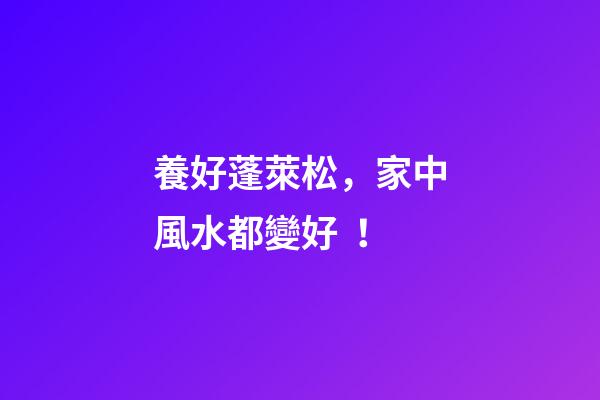 養好蓬萊松，家中風水都變好！